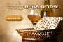 תמונות מתחמי נופש